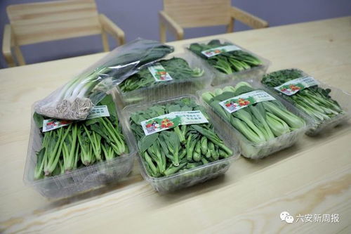 網上下單，新鮮到家——六安初級農產品網購成風尚