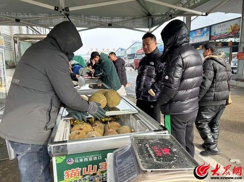 新春走基層 臨沂北環農產品批發市場堅守民生保供第一線，托穩春節“菜籃子”“果盤子”“米袋子”