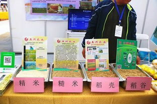 首屆濟南都市農產品博覽會評選活動全面啟動