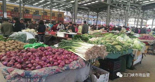 夯實基礎抓快檢 七項措施保食安——三門峽初級農產品質量安全提升路徑