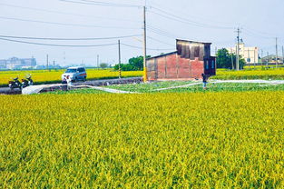 立院修法解禁農地限制 初級加工場助推農產品增值