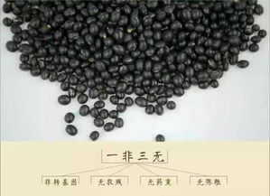 3萬返鄉創業，一塊地做火2個產業，他在冰葡萄田里讓黑豆長出4000萬黃金