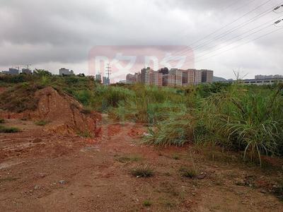 誤操作？大亞灣拍出7.88億天價(jià)地塊，樓面價(jià)破3萬/㎡引關(guān)注