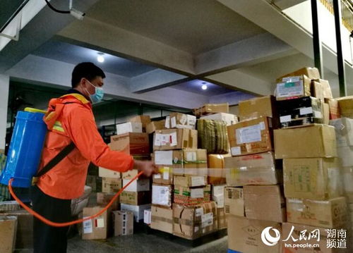 國際EMS郵件數(shù)量激增，醫(yī)療物資與蔬菜占比突出