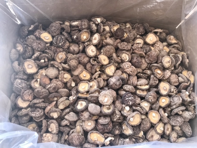 河南泌陽干香菇批發(fā)市場探析 品質與價格的平衡點