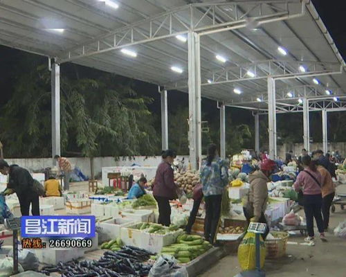 昌江筑牢食用農(nóng)產(chǎn)品安全防線 強(qiáng)化批發(fā)市場(chǎng)監(jiān)管與畜牧漁業(yè)飼料銷(xiāo)售規(guī)范