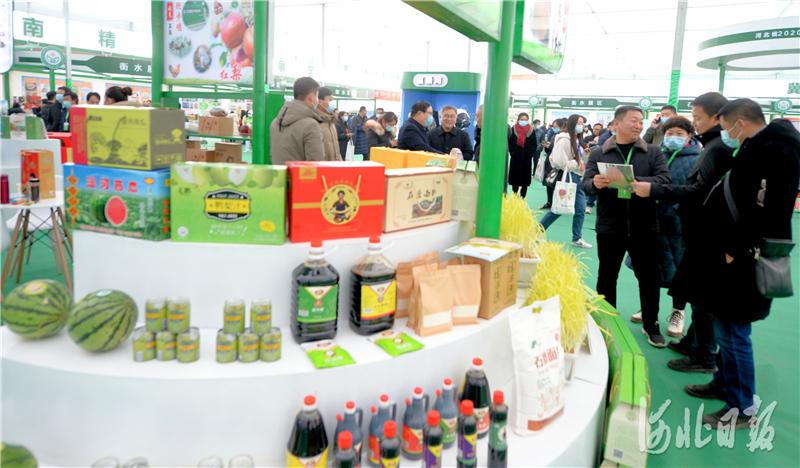 河北饒陽 第五屆京津冀蔬菜食用菌產銷對接大會召開，畜牧漁業飼料銷售成新亮點